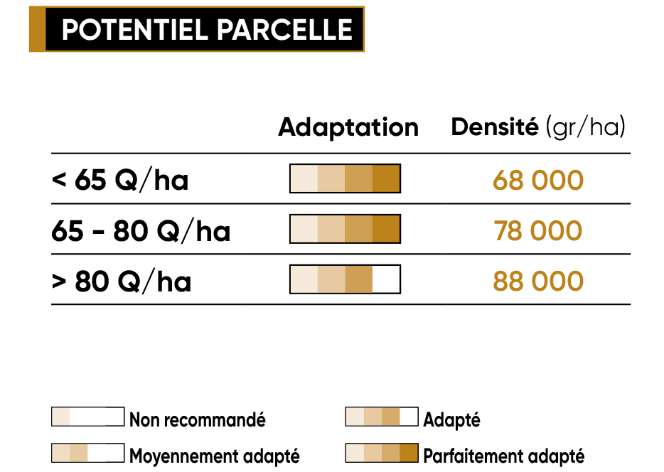 P8556 Potentiel Densité
