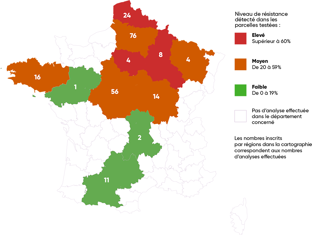 Exemple pour le cas des Z.tritici résistants aux SDHI en fonction des régions